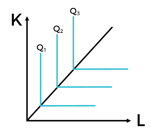 LPF_-_Leontief_Production_Function_Graph.jpg